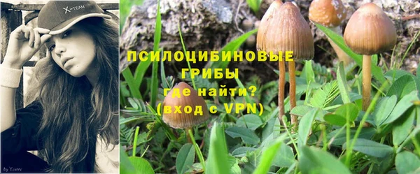 mix Нефтекумск