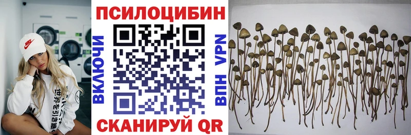 Галлюциногенные грибы прущие грибы Северодвинск