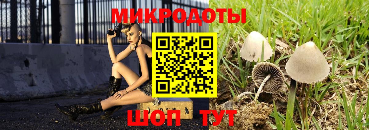 Северодвинск  Галлюциногенные грибы GOLDEN TEACHER  Вход с VPN 