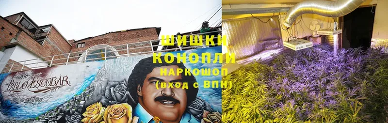 где продают   Северодвинск  Бошки Шишки Ganja 