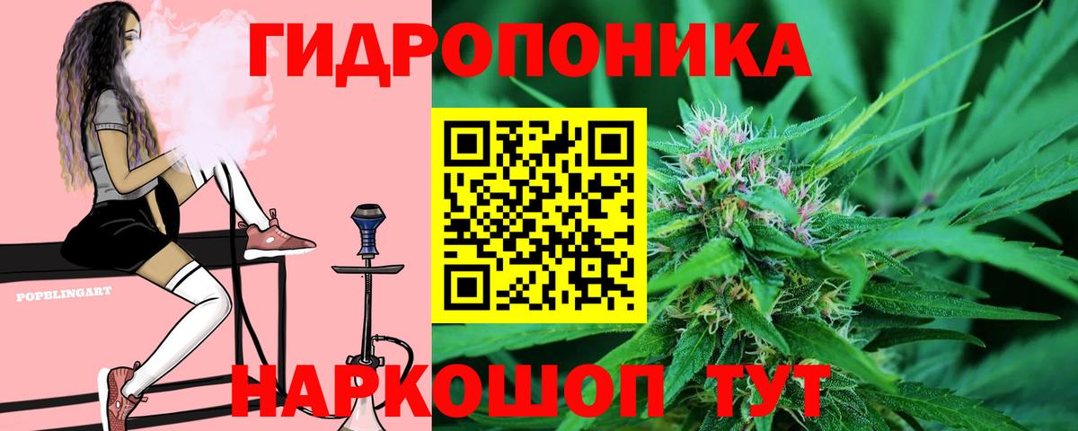 Шишки марихуана гибрид Северодвинск